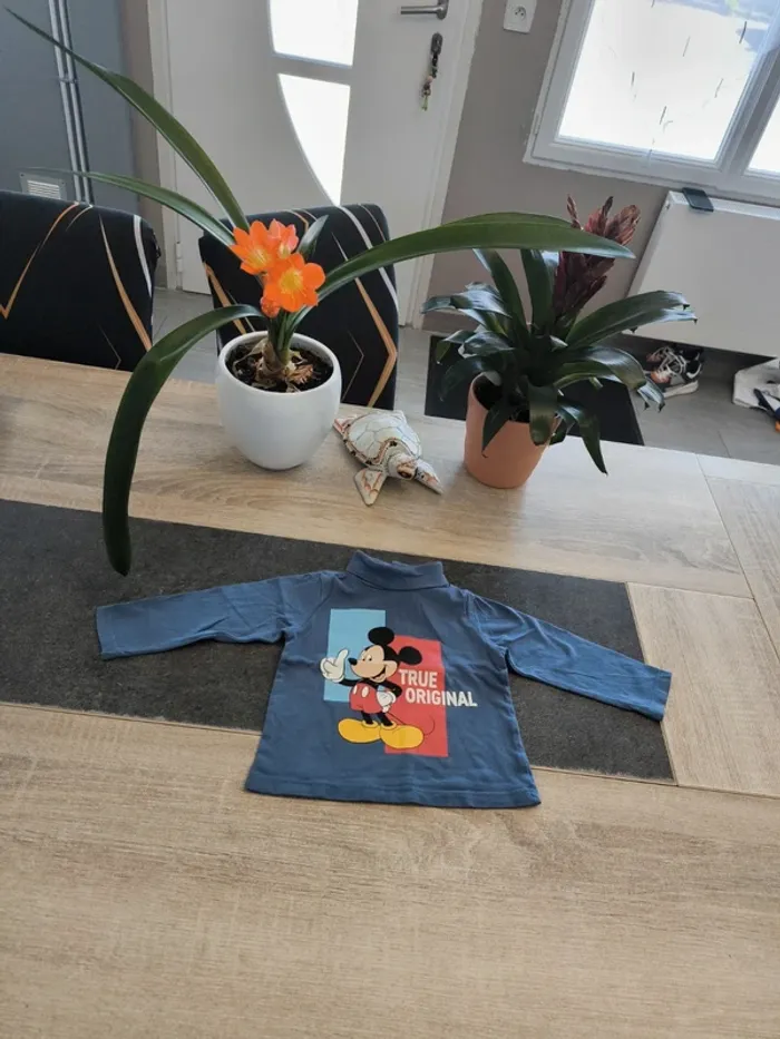 Sous pull col roulé garçon 6 mois Disney Mickey