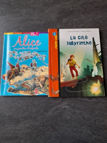Lot de 2 livres jeunesse