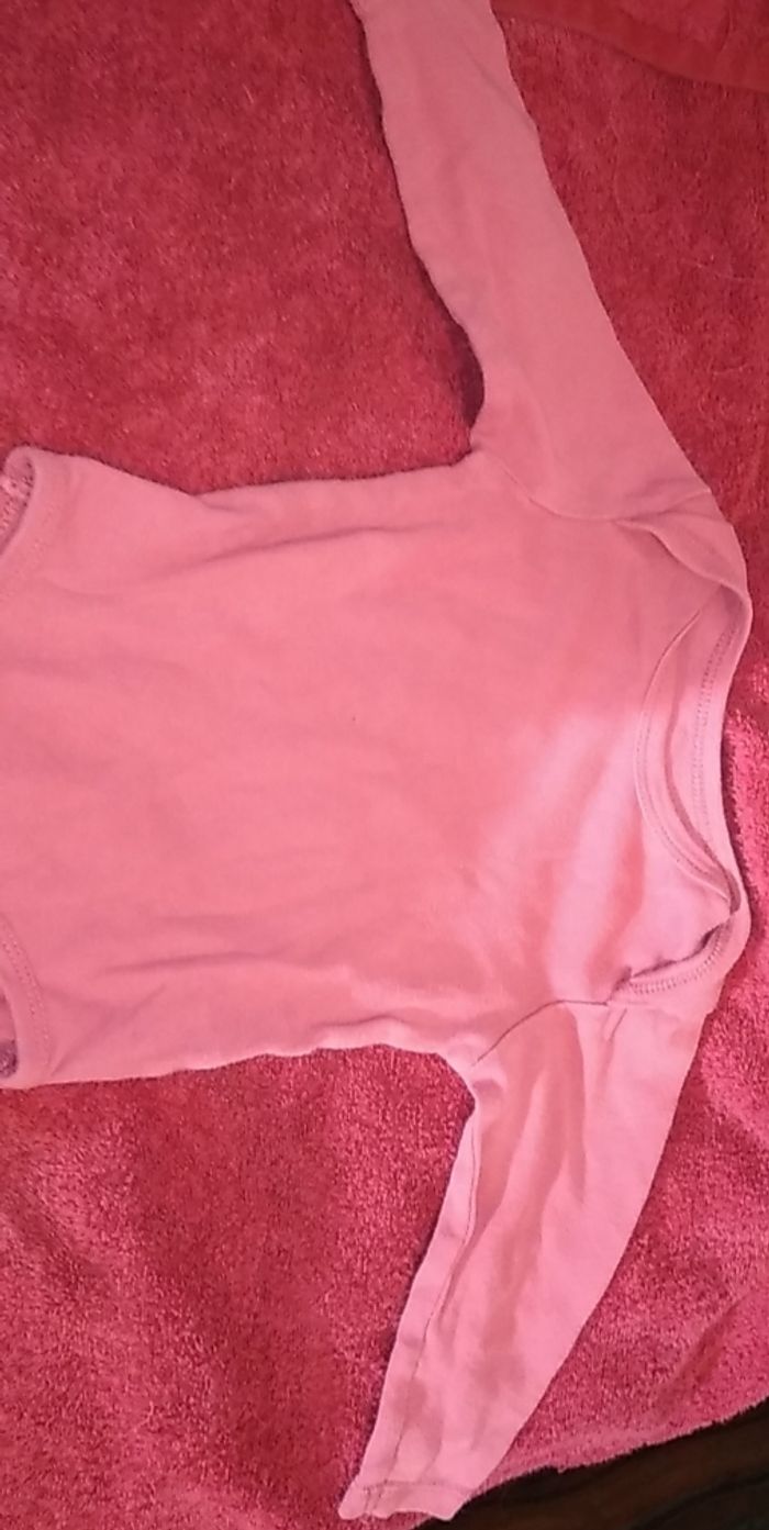 Bodie rose - photo numéro 2