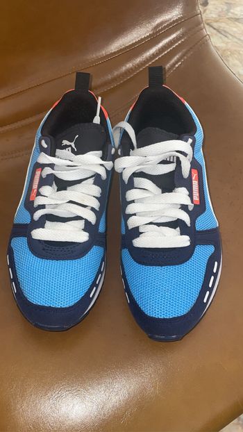 Puma bleu