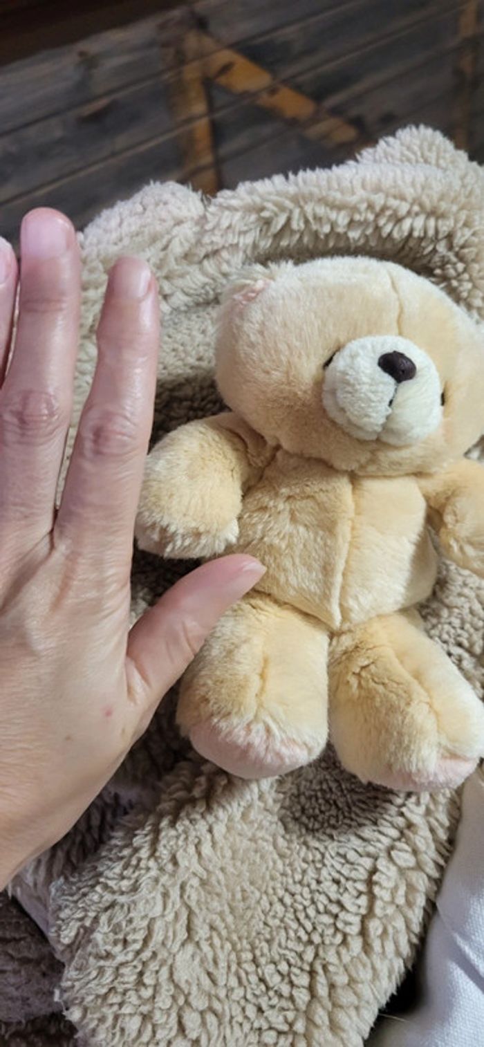 peluche ourson - photo numéro 3