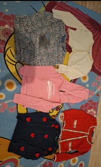 Lot pulls et veste fille
