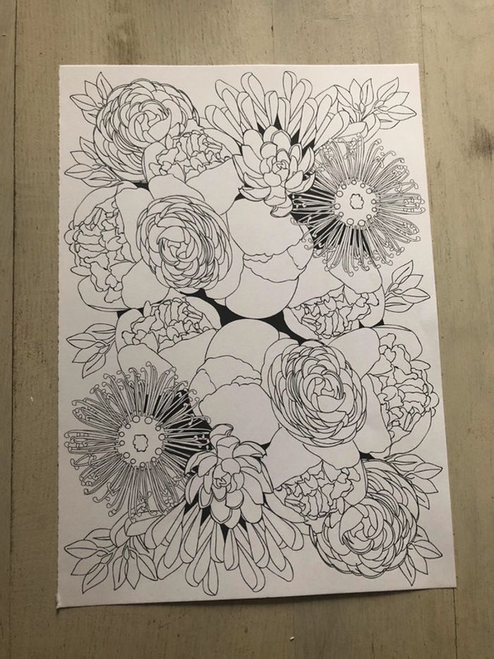 Lot de 10 coloriages neufs - photo numéro 3