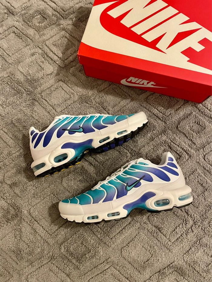 nike air max plus aqua