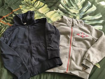 Lot 2 vestes à capuches