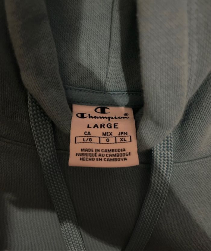Pull Champion - photo numéro 6