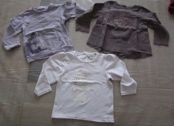 Lot de 3 t-shirts bébé fille 18 mois
