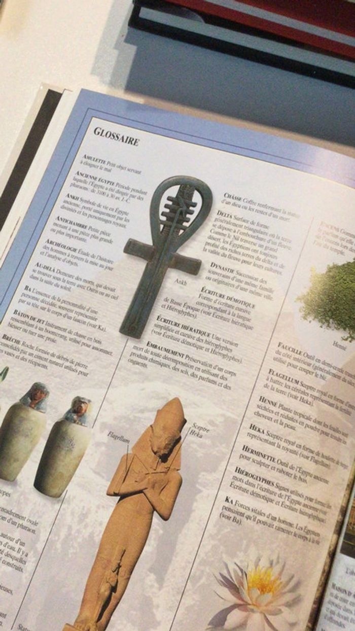 Livre histoire mémoire de l’Égypte en couleurs - photo numéro 4