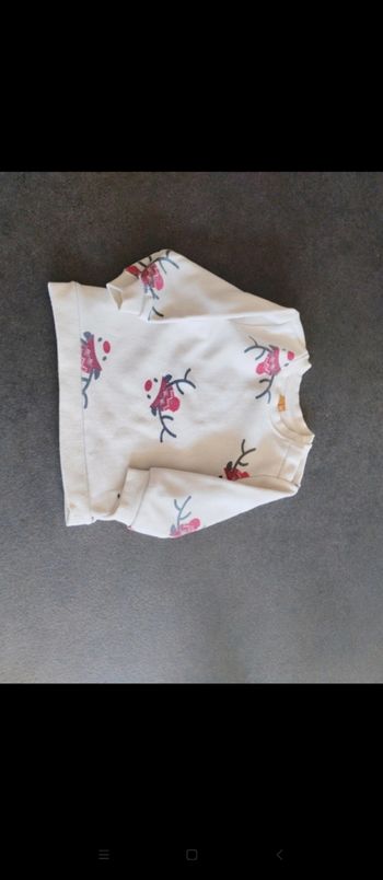 Sweat bébé garçon 12 mois