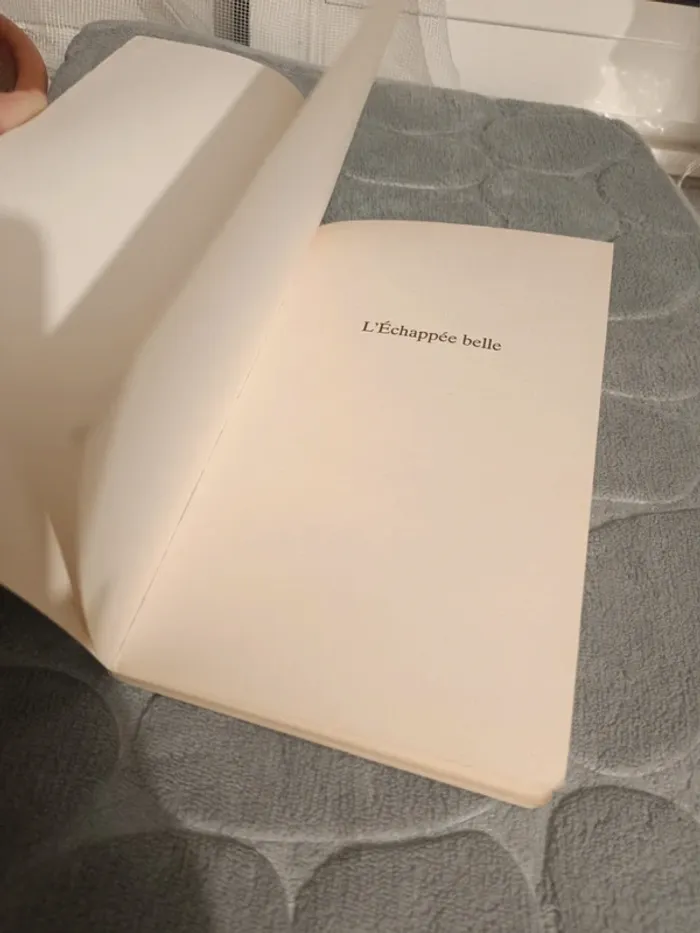 Livre Anna gavalda l'échappée belle - photo numéro 6