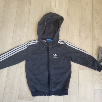 Veste a capuche adidas