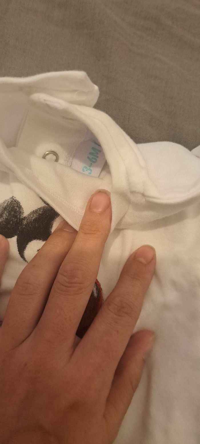 Ensemble - photo numéro 3