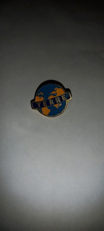Pin's terre