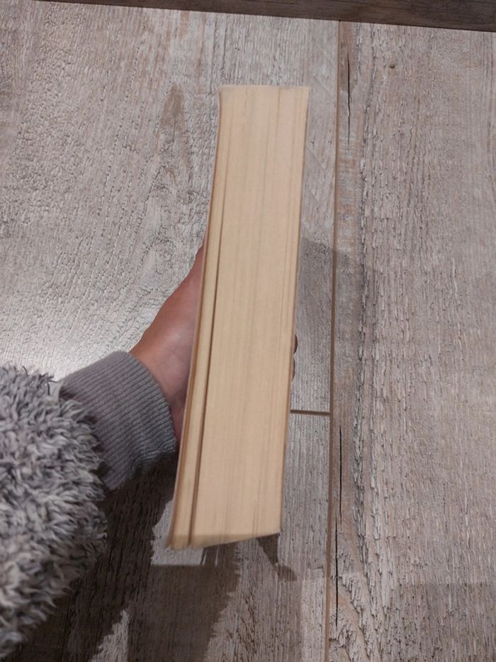 Livre la Cage Dorée - photo numéro 4