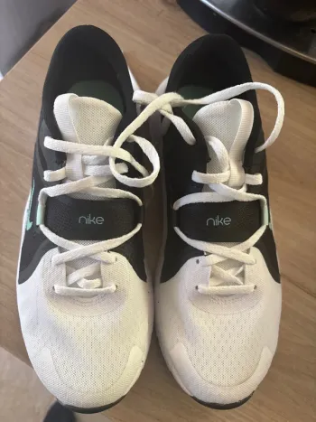 Basket Nike taille 41