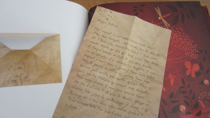 Coffret : Livre "petits billets doux" + cartes et enveloppes - photo numéro 5