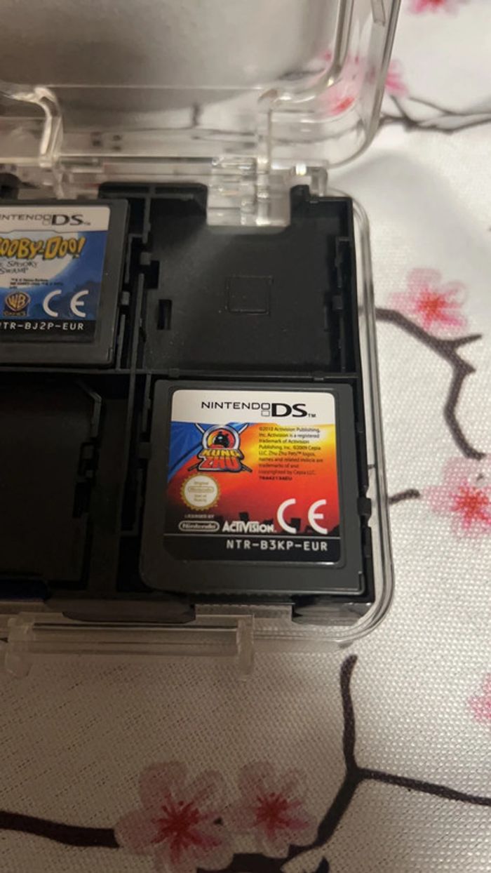Jeu Nintendo ds kung zhu
