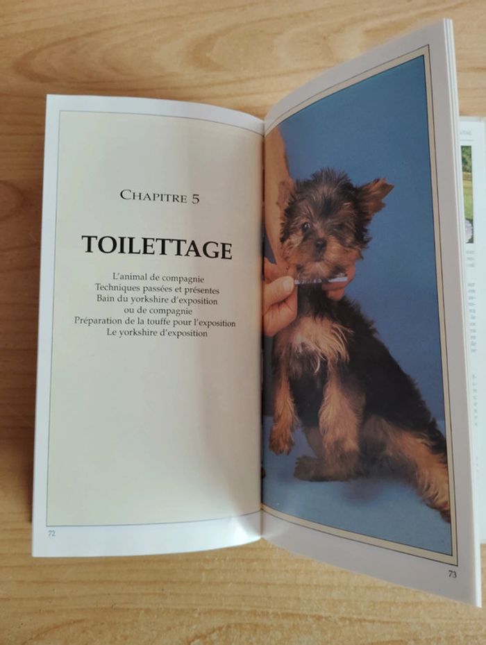 Le Yorkshire vintage édition - photo numéro 3