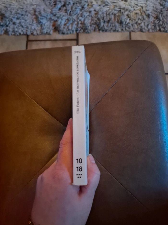 Le moineau du sanctuaire - photo numéro 2