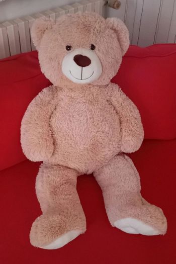 Peluche ours 1 mètre