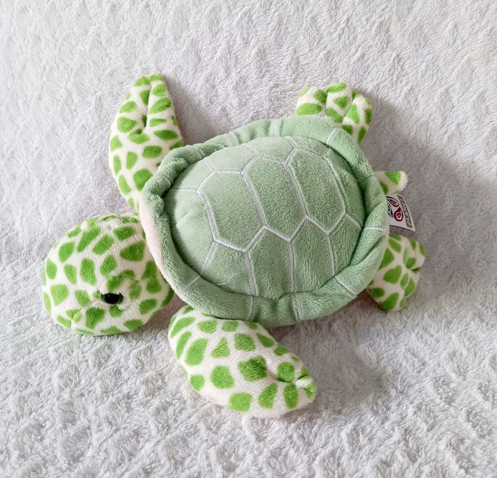 Tortue Nature Planet