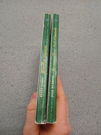 Harlequin spécial Noël