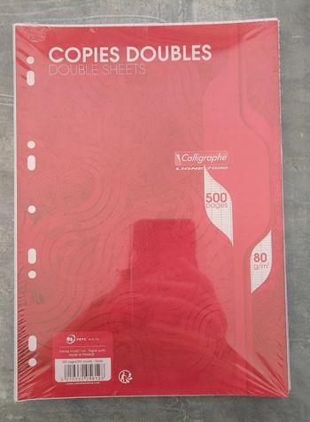 500 Copies Doubles Calligraphe