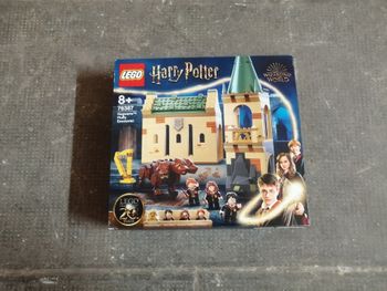 Lego Harry Potter 76387 : Rencontre avec Touffu [NEUF]