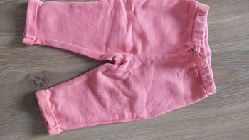 Jogging in extenso 6 mois