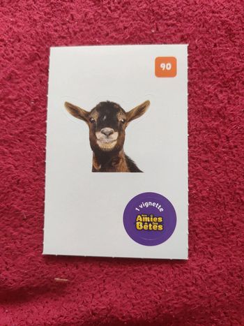 Autocollant nos amies les bêtes