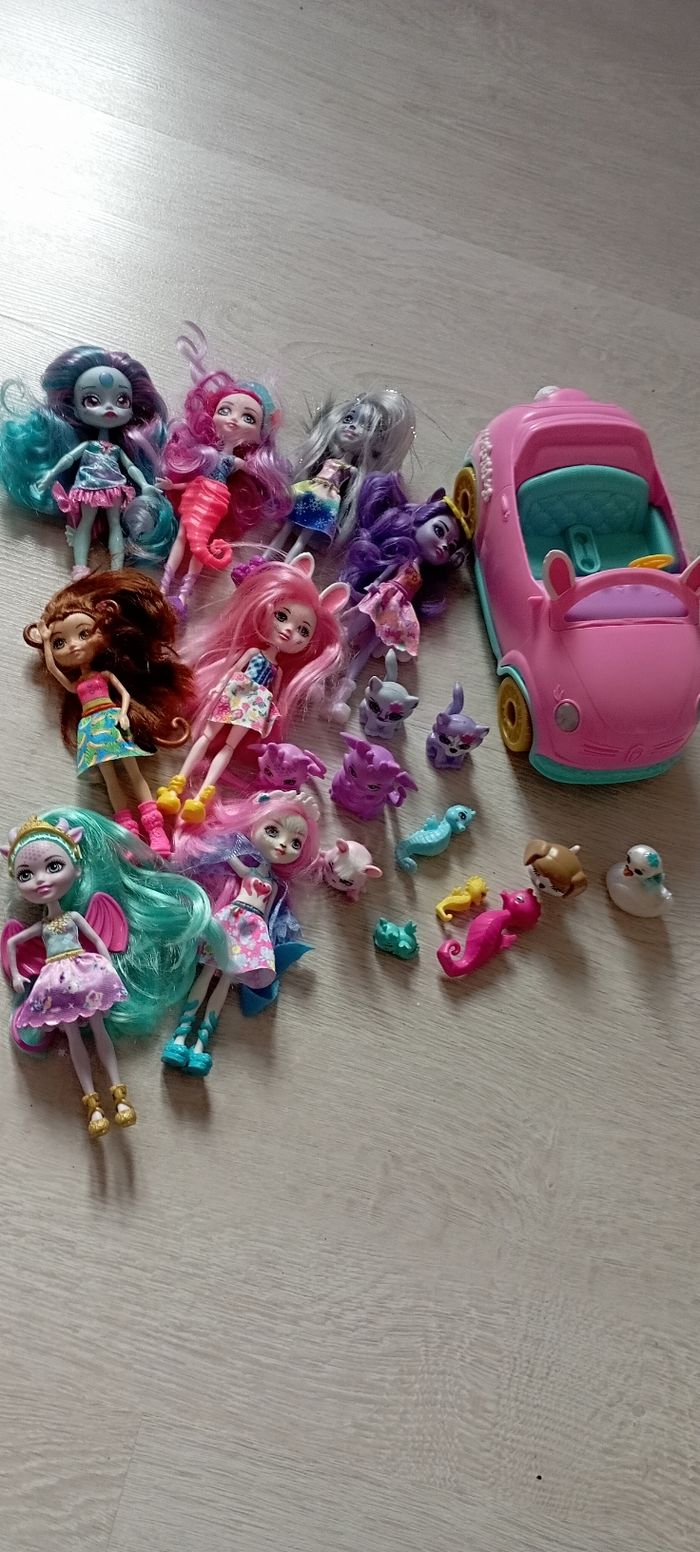 Lot enchantimals - photo numéro 5