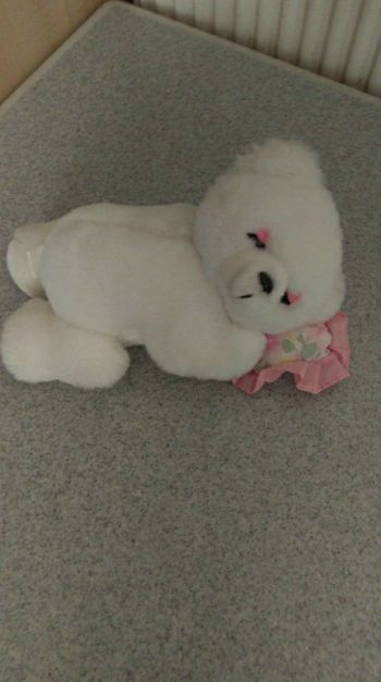 Belle peluche