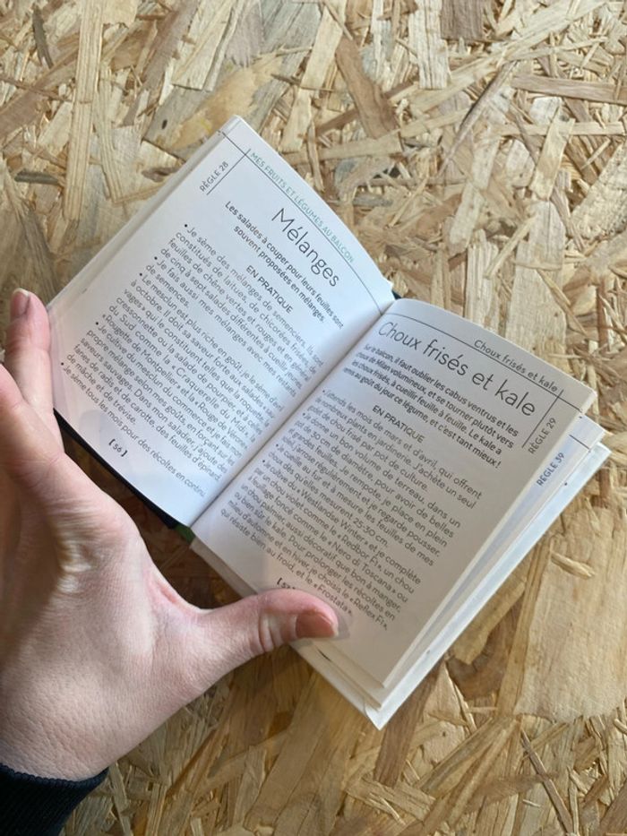 Livre « Les 50 règles d’or pour réussir son potager sur son balcon » - photo numéro 3