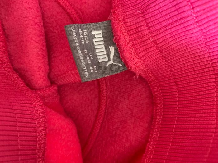 Ensemble puma - photo numéro 7