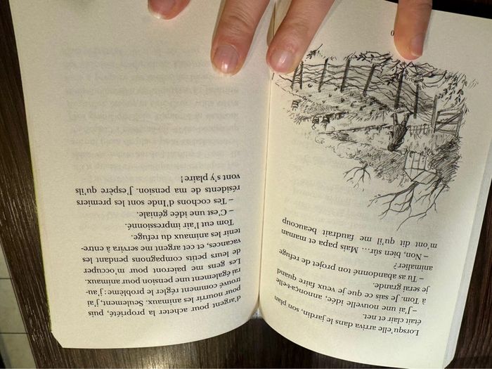 Livre un petit cochon nommé truffe - photo numéro 3