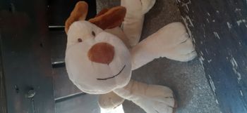peluche chien MAXITA