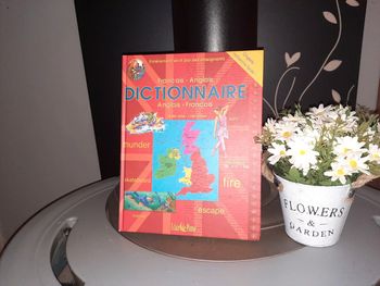 Livre Dictionnaire Français - Anglais