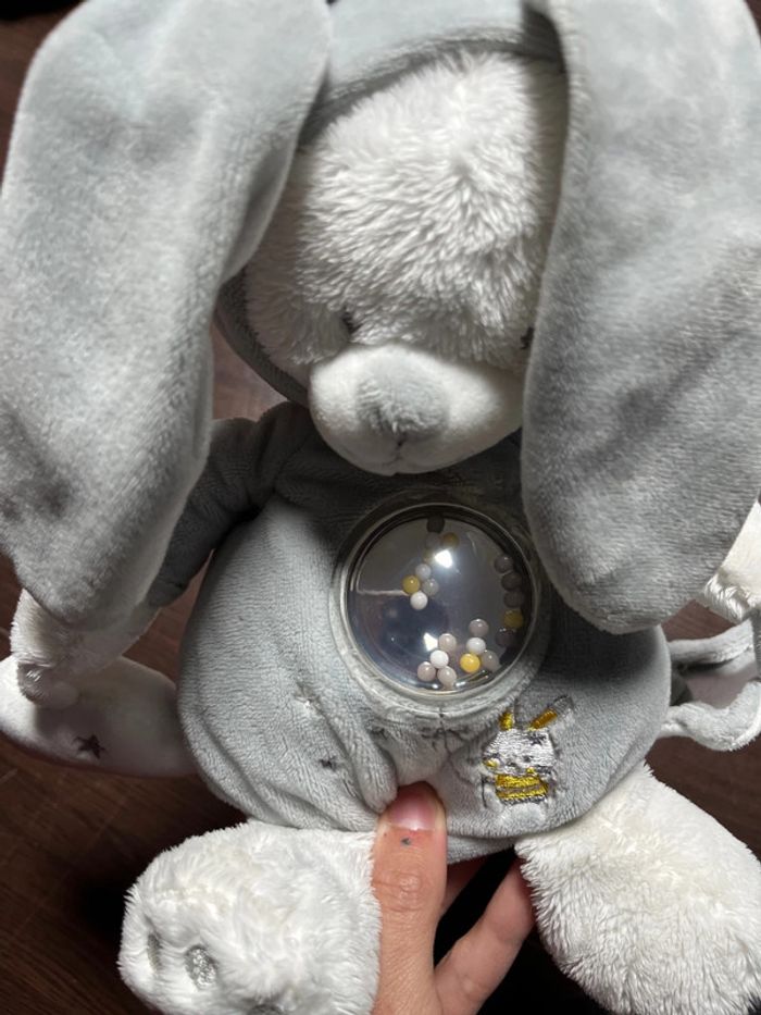 Ours en peluche - photo numéro 2