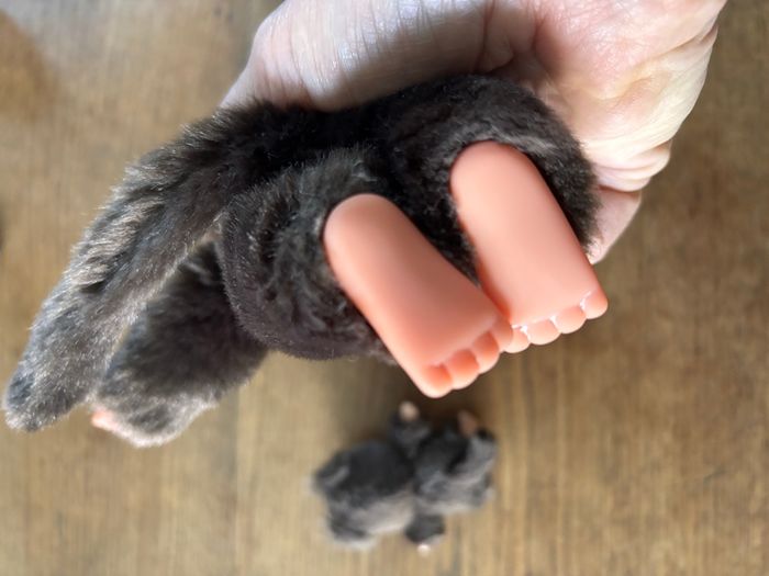 Kiki original et son bébé - photo numéro 3