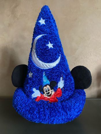 Joli chapeau Disneyland
