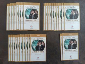 HARRY POTTER 32 Pochettes (SCELLÉES) - La Magie de l'Amitié - Super U