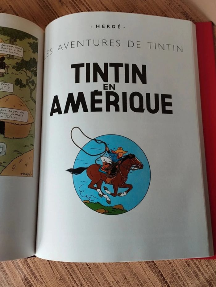 Les aventures de Tintin club France loisirs 2007 Casterman - photo numéro 6