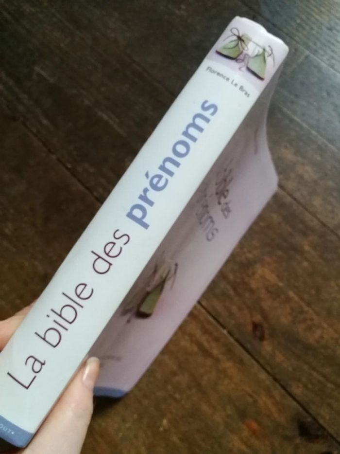 La Bible des prénoms de Florence Le Bras - photo numéro 4