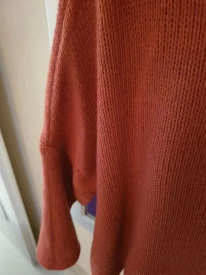 Magnifique pull - photo numéro 4