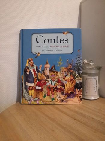 🌺Livre Contes merveilleux pour garçons de Grimm et Andersen🌺