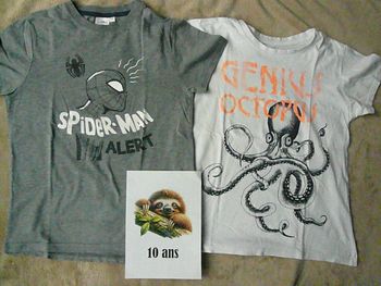 Lot de 2 tee-shirts garçon 10 ans (n°38)