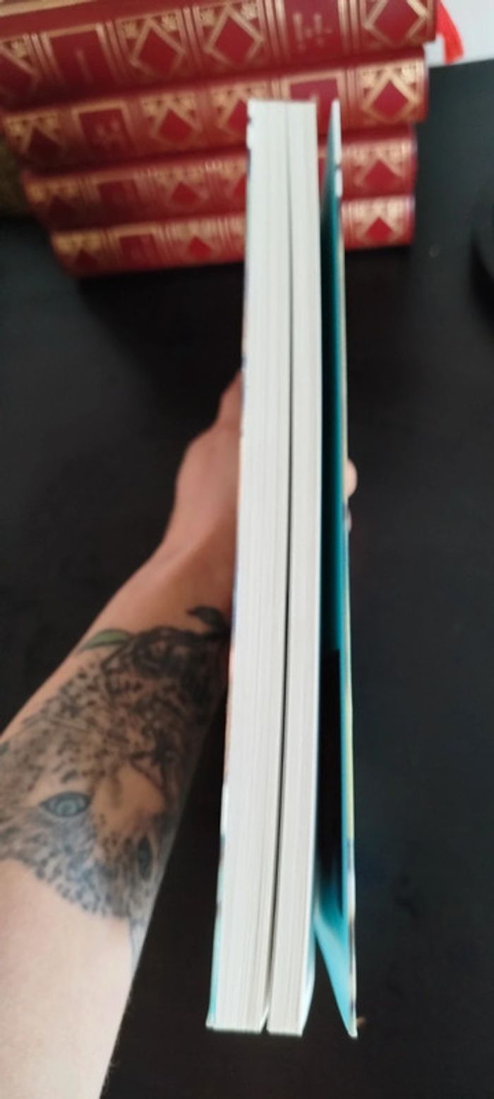 Les soleils mouillés Françoise Bourdin livre grand format - photo numéro 2