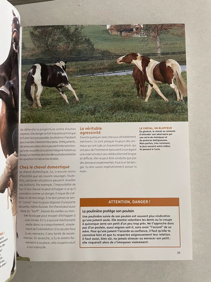 J'aime mon cheval - photo numéro 4