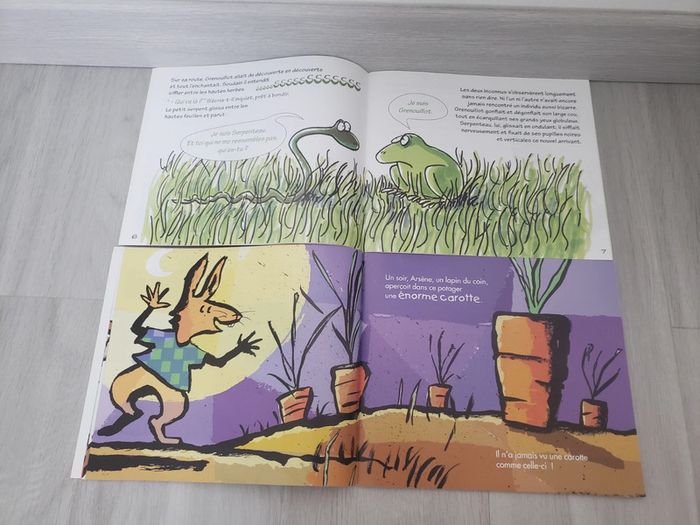 Lot de 5 livres primaire - photo numéro 10