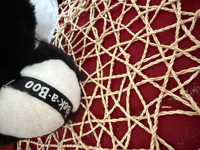 doudou panda peek-a-boo Dan Dee - photo numéro 4